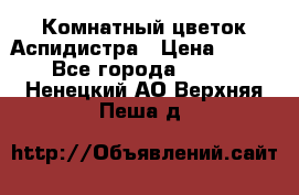 Комнатный цветок Аспидистра › Цена ­ 150 - Все города  »    . Ненецкий АО,Верхняя Пеша д.